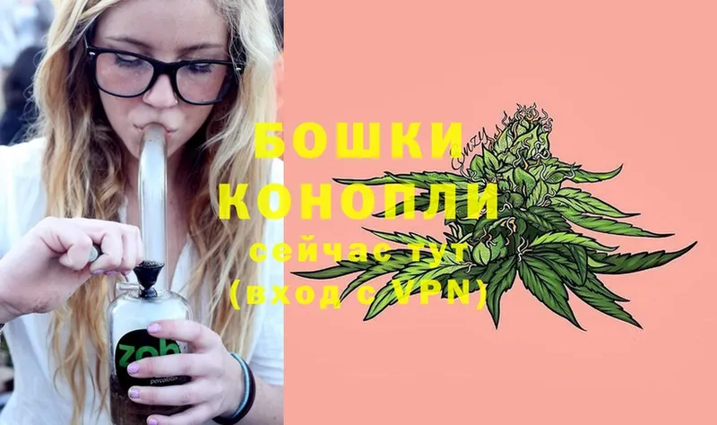 Бошки Шишки SATIVA & INDICA  цены   Зеленокумск 